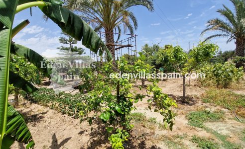 Resale - Country House - Elche