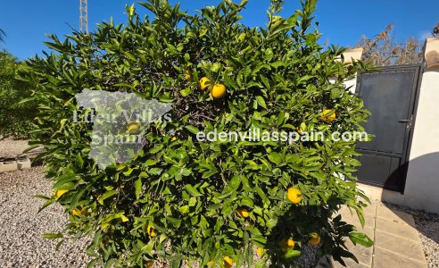 Wederverkoop - Landhuis - Catral