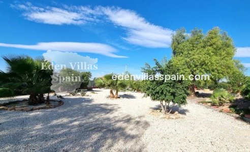 Resale - Country House - Catral