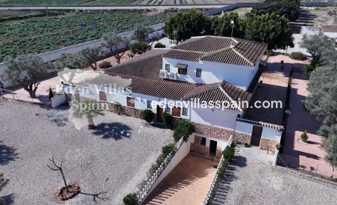 Immobilien Zweiter Hand - Landhaus - San Fulgencio