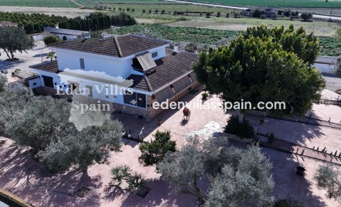 Immobilien Zweiter Hand - Landhaus - San Fulgencio