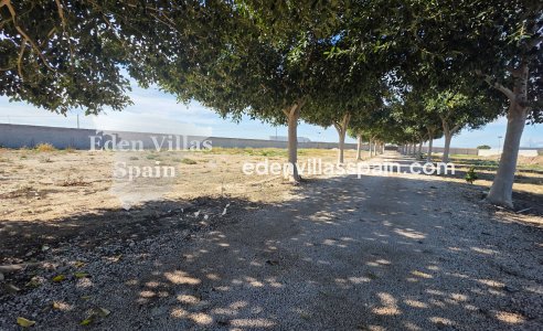 Immobilien Zweiter Hand - Landhaus - San Fulgencio