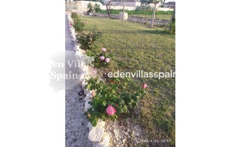 Segunda Mano - Casa de campo - Catral