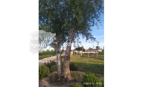 Segunda Mano - Casa de campo - Catral